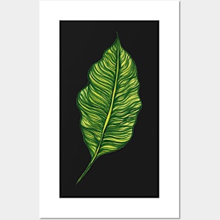 Green leaf Posters and Art